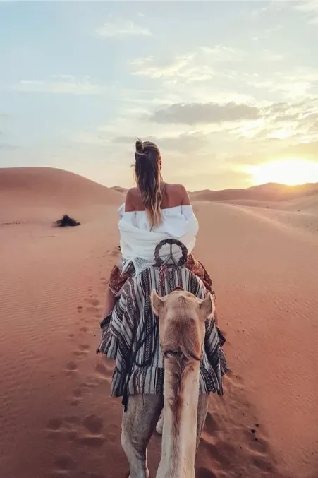 A camel walk through the dunes of Merzouga at sunset